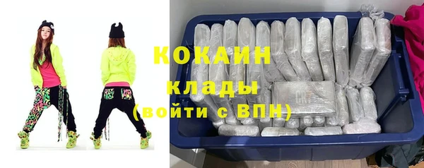 стафф Богородск