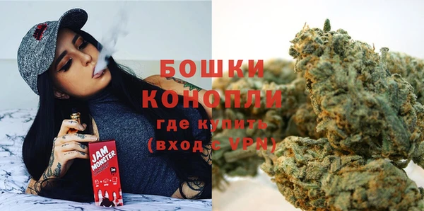 стафф Богородск